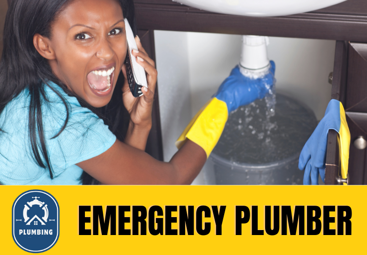 emergency plumber Paddock Wood