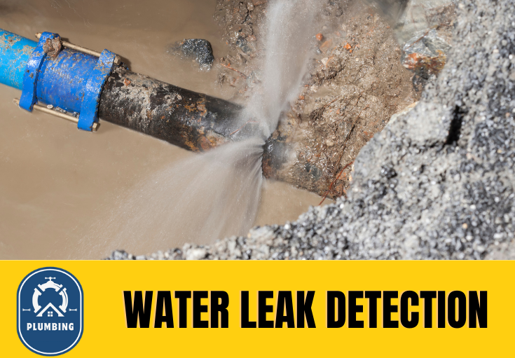 leak detection Paddock Wood