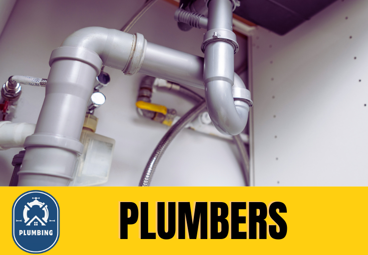  plumber Laddingford